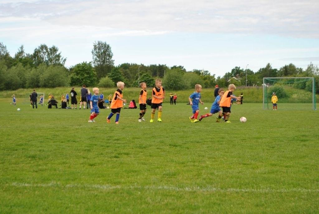 ÅRET SOM GÅTT! 20 st träningar, i genomsnitt var vi 45 st spelare. Minicupen; 4 lag med 10 spelare i vardera lag.