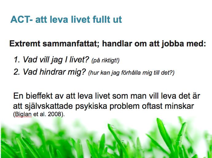 bokstavligen stressa ihjäl oss. Vi måste hitta fungerande strategier för att förhålla oss till hur vi språkar med oss själva.