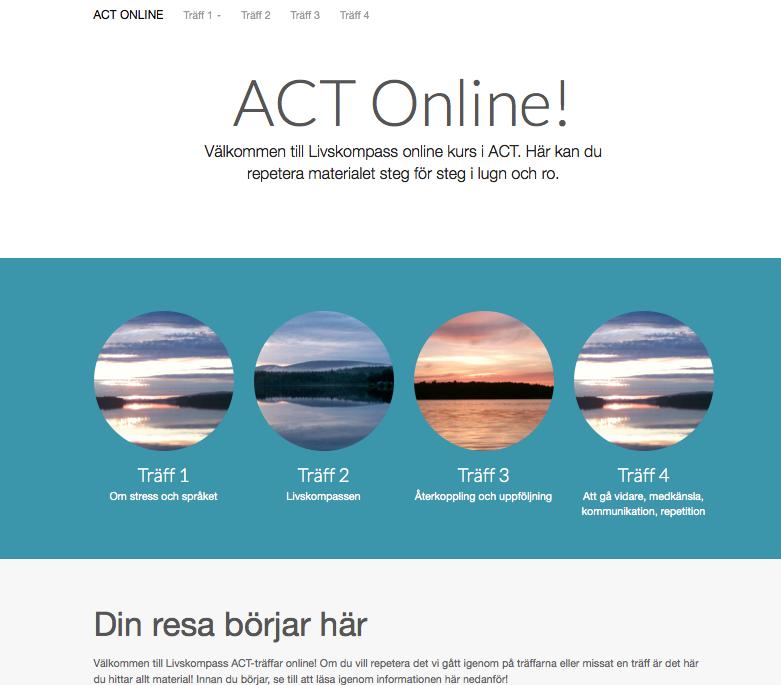 Skilja på: Vad kan jag förändra? Vad acceptera? 2. Lära sig att hantera den stress som är ofrånkomlig i våra liv 3. Normalisering av att livet bitvis gör ont. 4.