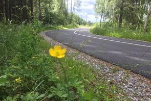 På så vis kanaliseras cyklister till ett specifikt stråk vilket minskar risken för konflikter och irritation mellan gående och cyklister.