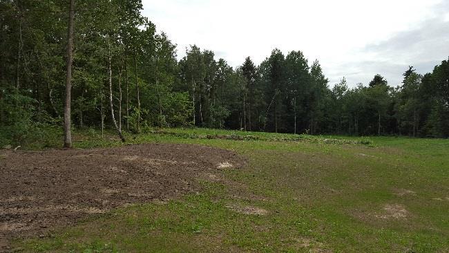 Markägoförhållanden Fastigheten Björnhovda 25:2 ägs av Mörbylånga kommun. Förutsättningar Natur Landskap Planområdet utgörs av ett tätt och högt skogsparti.