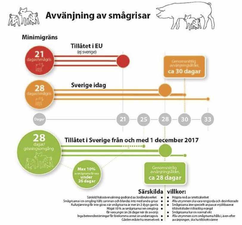 svenska reglerna om avvänjning tidigast från 28 dagars ålder gäller fortfarande i grunden.