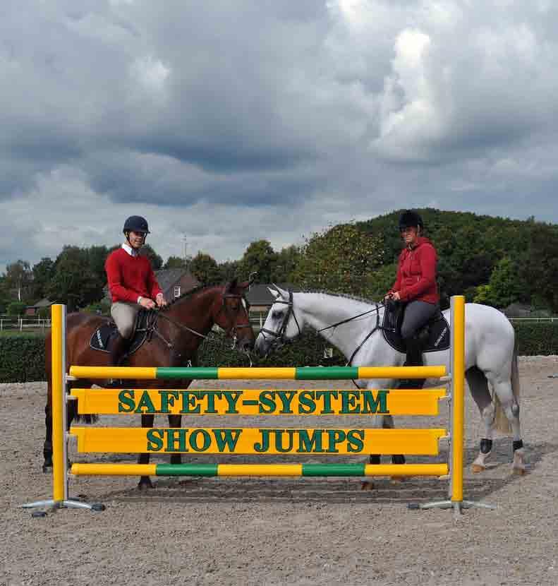 Safety-System EST. 1989 EST. 1989 The modern and winning concept www.