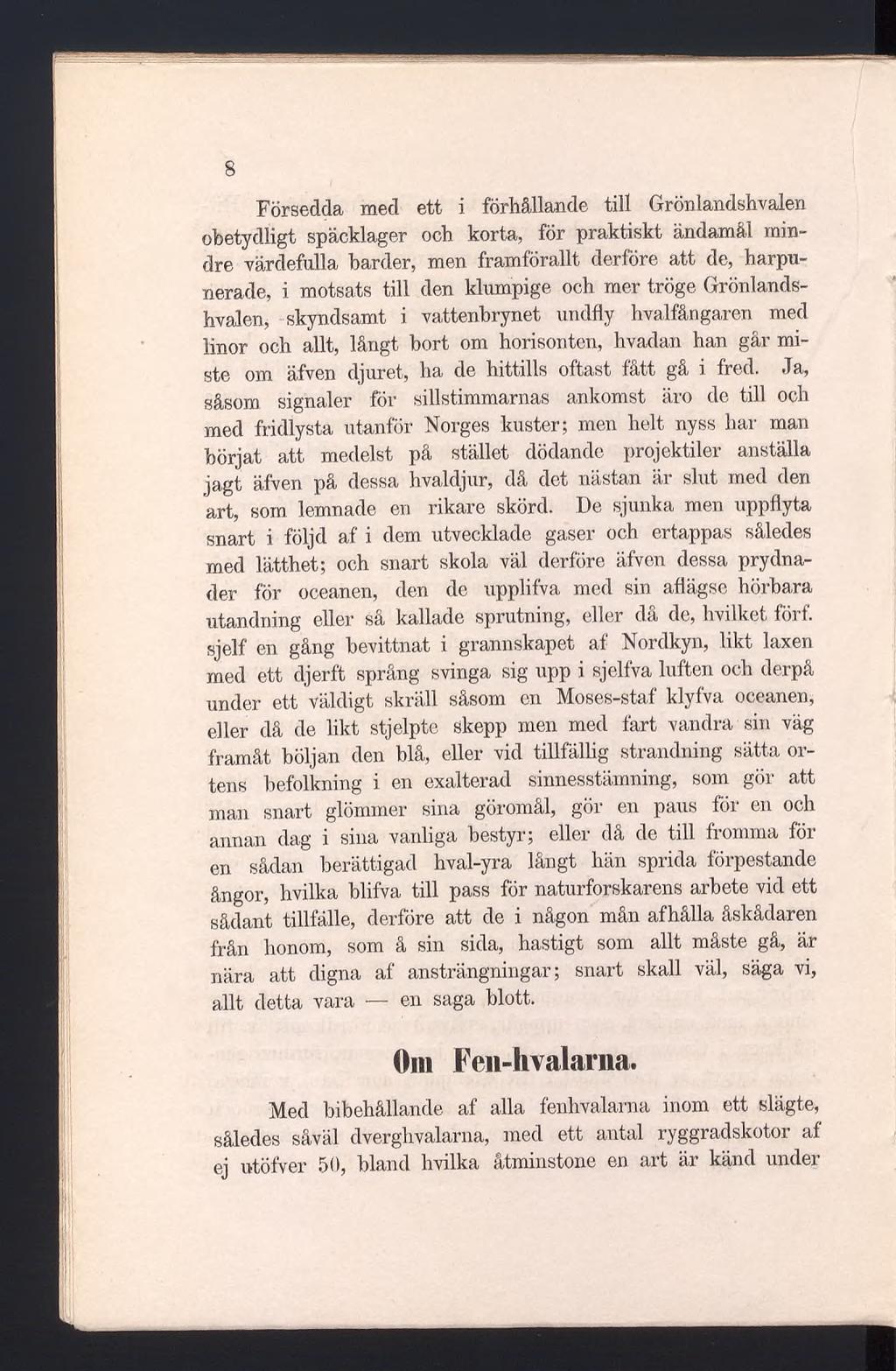B Försedda med ett i förhållande till Grönlandshvalen obetydligt späcklager och korta, för praktiskt ändamål mindre värdefulla barder, men framförallt derföre att de, harpunerade, i motsats till den