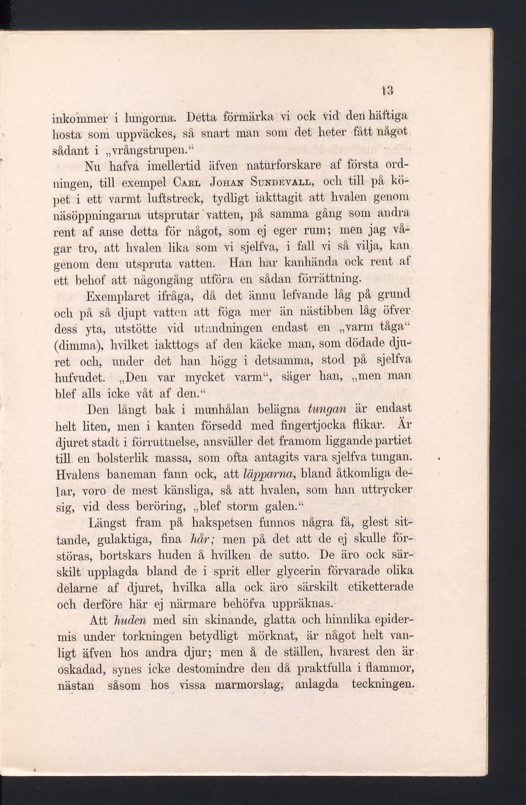 inkommer i lungorna. Detta förmärka vi ock vid deii häftiga hosta som uppväckes, så snart man som det heter fatt iiågot sådant i vrångstrupen.