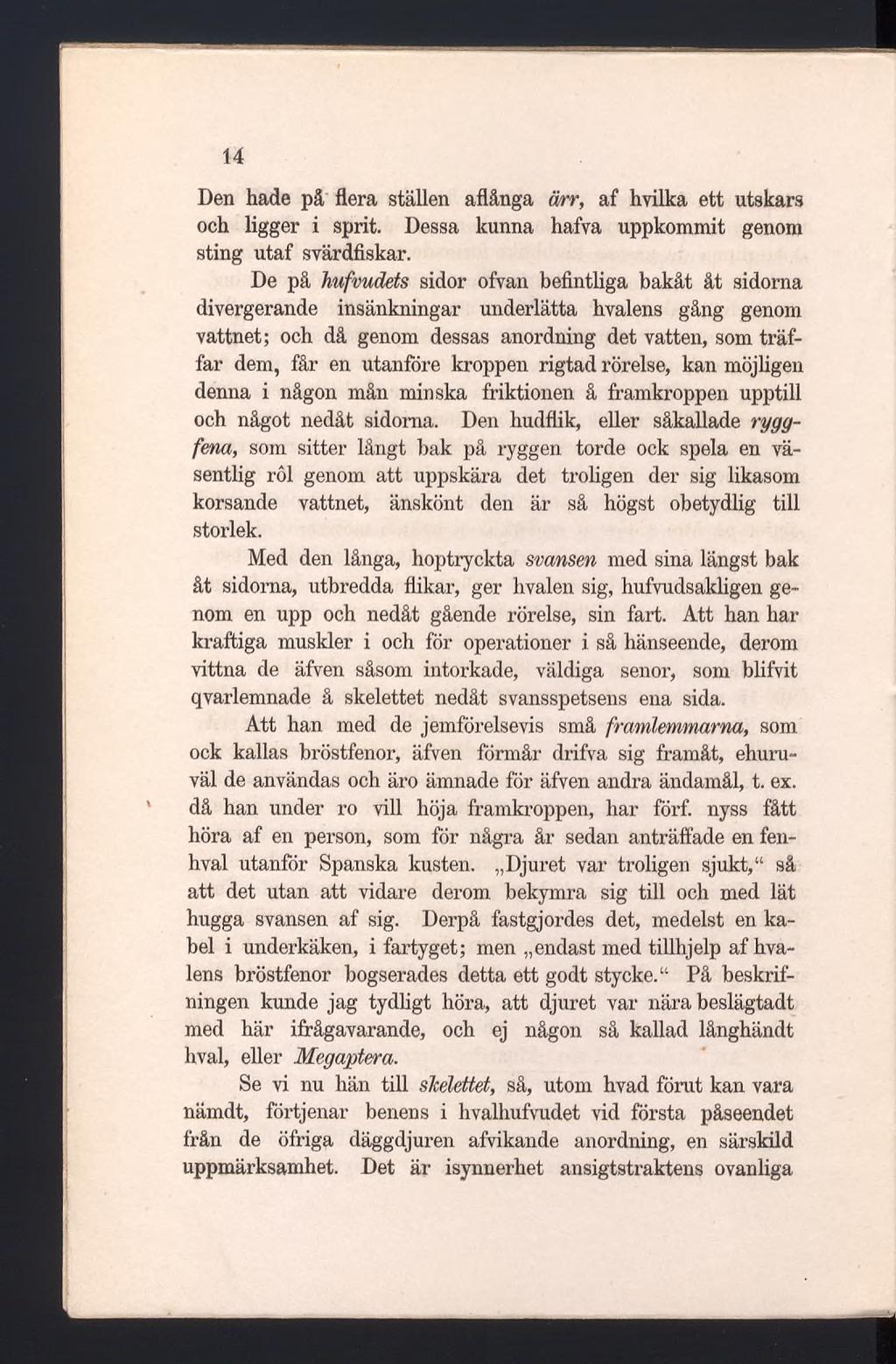 14 Den hade på flera ställen aflånga ärr, af hvilka ett utskärs och ligger i sprit. Dessa kunna hafva uppkommit genom sting utaf svärdfiskar.