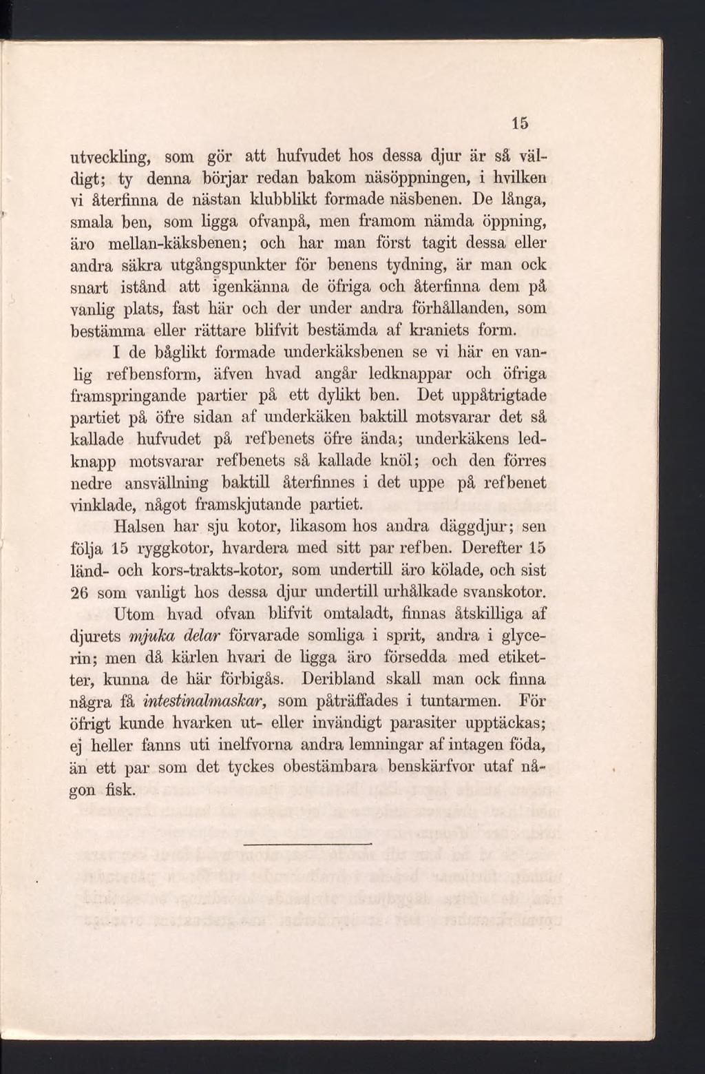 utveckling, som gör att liufvudet hos dessa djur är så väldigt; ty denna börjar redan bakom näsöppningen, i hvilken vi återhnna de nästan klubblikt formade näsbenen.