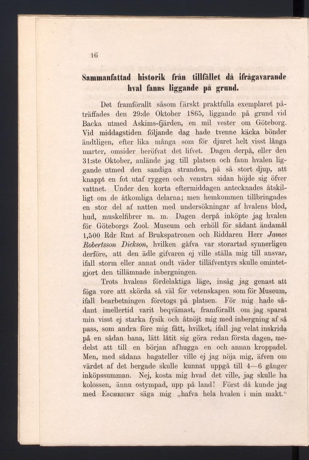 16 Sammanfattad historik från tillfället då ifrågavarande hval fanns liggande på grund.