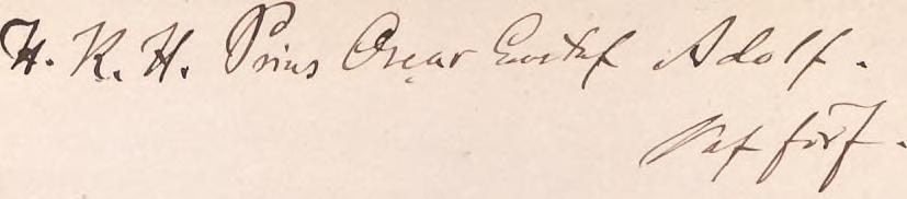 SYNNERHET; A. W. MALM. «förf.