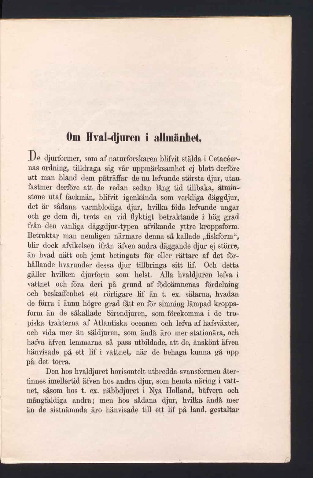öm Ilval-djliren i allmänhet.