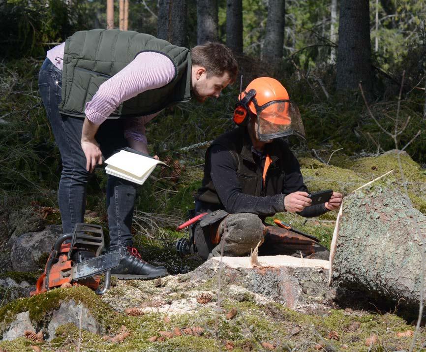 Vårt samarbete med IBM entreprenörsteam Snabbt fram för vår molntjänststruktur avseende våra