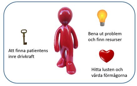 Inom rättvisa institutioner målet för hälso- och sjukvården är en vård på lika villkor för hela befolkningen.