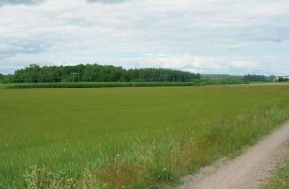 Även om inga utpekade värdefulla områdena berörs bedöms konsekvensen för landskapsbilden sammantaget som Måttlig-Stor eftersom området ligger nära Åsbro och väg 50 och kan ses av många på nära håll.