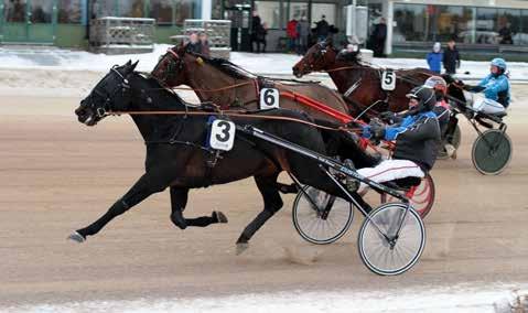 nyhetsbörsen mars2017 170303 Sansiro tog ny Solvallaskalp Idag var Sansiro Gel och Leif Witasp tillbaka på Solvalla. Exakt en månad sedan senaste segern blev det nu en ny vinst.