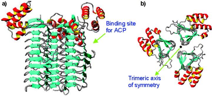 Exempel: Proteininteraktioner