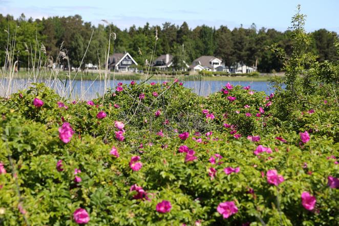 Tillgänglig lärmiljö i förskolan genom tydliggörande pedagogik Föreläsningen grundar sig på de nio nyckelfrågorna inom tydliggörande pedagogik: