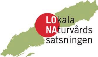 statsbidrag till lokala