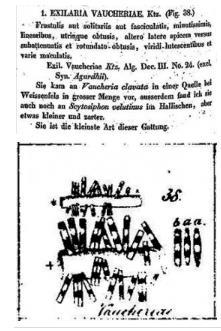 metabarcoding Varför?