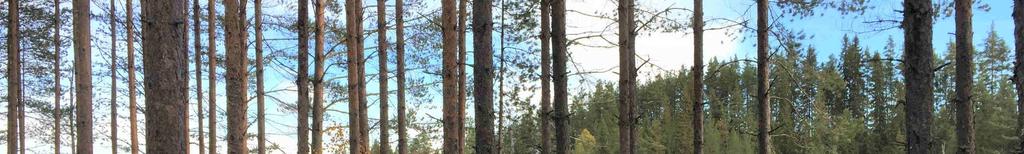 Skifte 1 ligger ca 18 km sydväst om