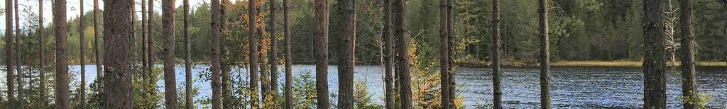 Järpklittvägen samt Åtjänsvägen.