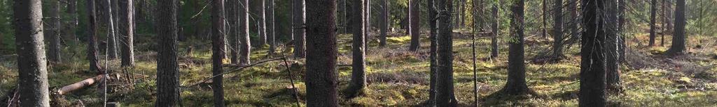 laserscanning som utfördes 2010, för att