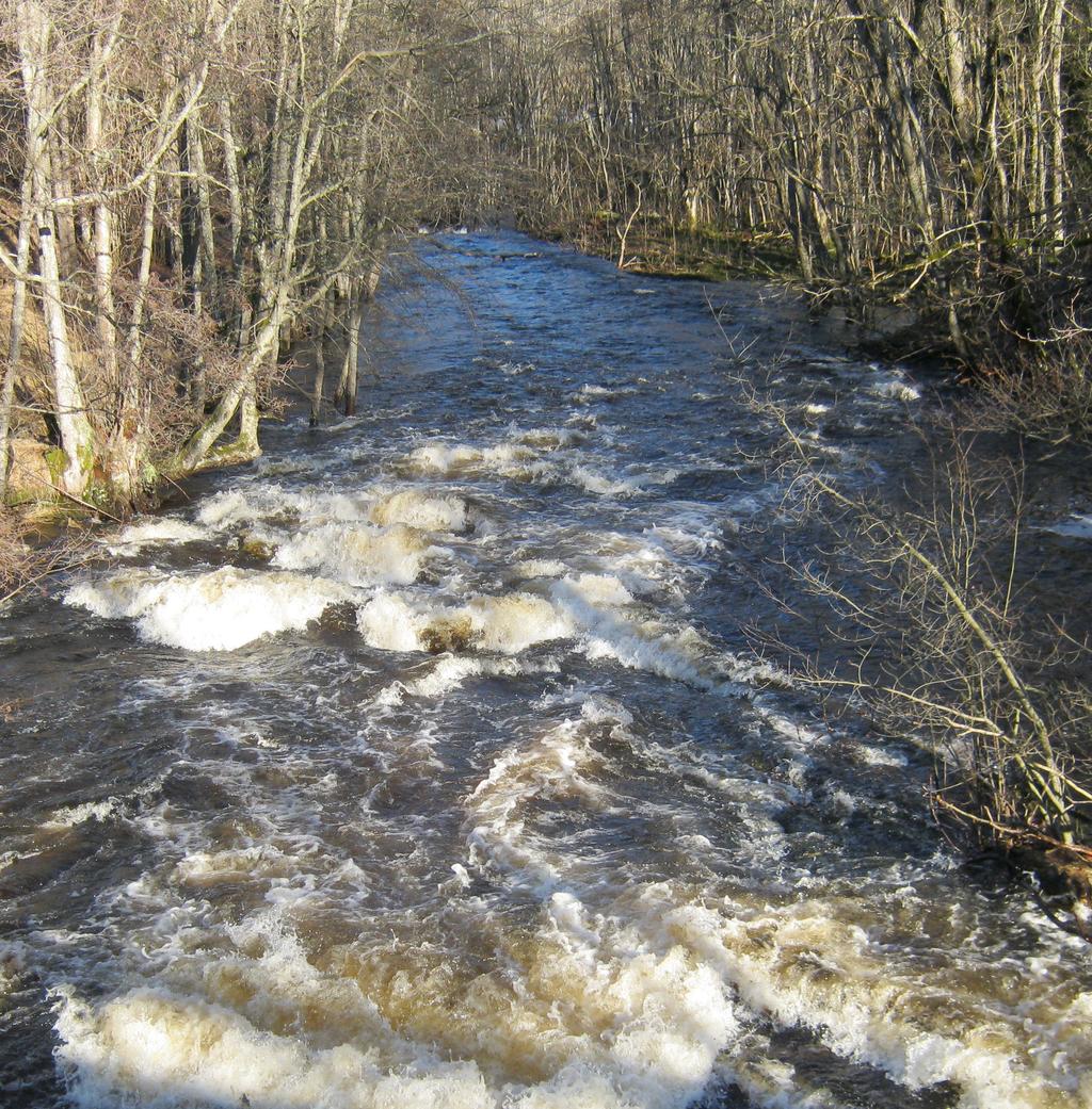 Bilaga 12 Dalbergså - Holmsån 215