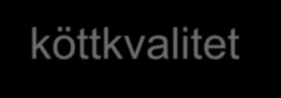 slaktkroppskvalitet och