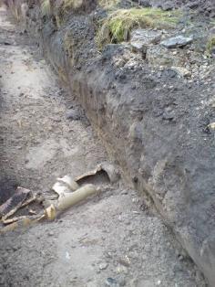 Även i parken finns brunnar, ledningar samt en del plattor, fundament m.m. kvar i marken under vegetationstäcket.