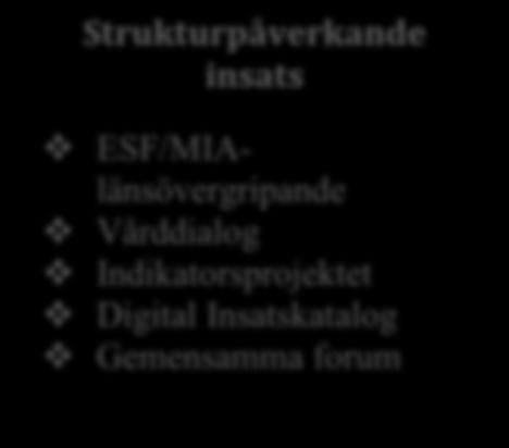 skapa mötesplatser och stötta nätverksbyggande. finansiera insatser till individer som har behov av samordnat stöd. 1.3.