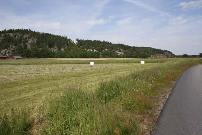 Syfte och frågor Boplatsen Skee 1596:1 bedömdes alltså vara från järnålderns senare del även om inga daterbara fynd vid förundersökningen hade påträffats som kunde bekräfta att så var fallet.