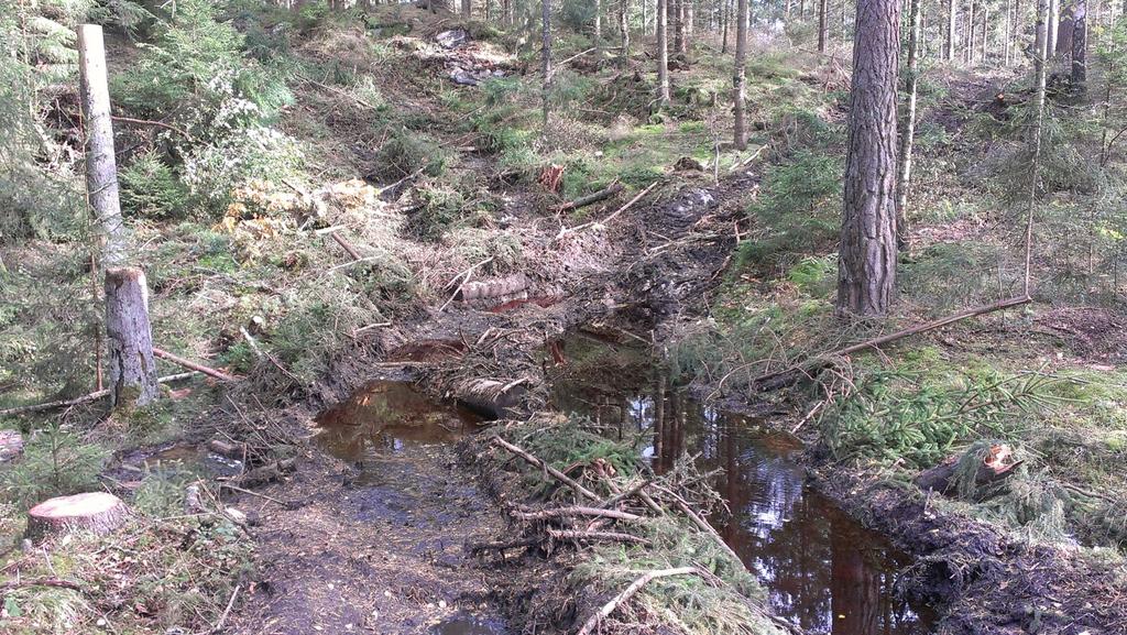 Figur 6. Körskador i övre delen av avrinningsområdet till Gårdsjön IM. Bilden togs den 18:e september 2012 av Filip Moldan, IVL. Driving damage in the upper parts of the Gårdsjön IM catchment.