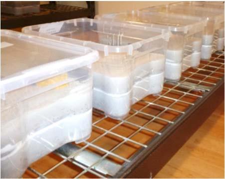 Plastback självtorkning Plastback förseglades vid olika tillfällen 3 dygn, 1 vecka, 5 veckor och 10 veckor Alltså först torkning i torkmiljö sedan självtorkning 50 mm Resultat RF då backen