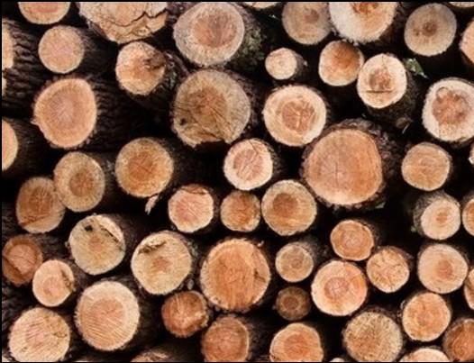 Bolmsö Bygdegårdsförening Välkomna på årsmöte med Bolmsö Bygdegårdsförening. Lördag den 2 mars 2019, kl 18:30 i Sjöviken. Först årsmöte och sedan serveras Tarte flambée bakad i vedeldad ugn.