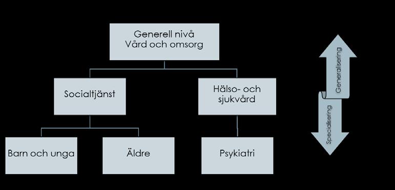 Stöd för användning Figur 2. Beskrivning av exempel på olika nivåer i NI. Hälsoärende Den utredning av hälsoärende som Socialstyrelsen har genomfört under 2013 ger underlag till utvecklingen av NI.