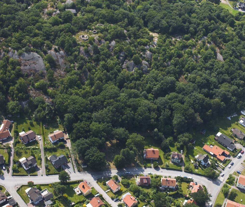 Detaljplan för bostäder med särskild