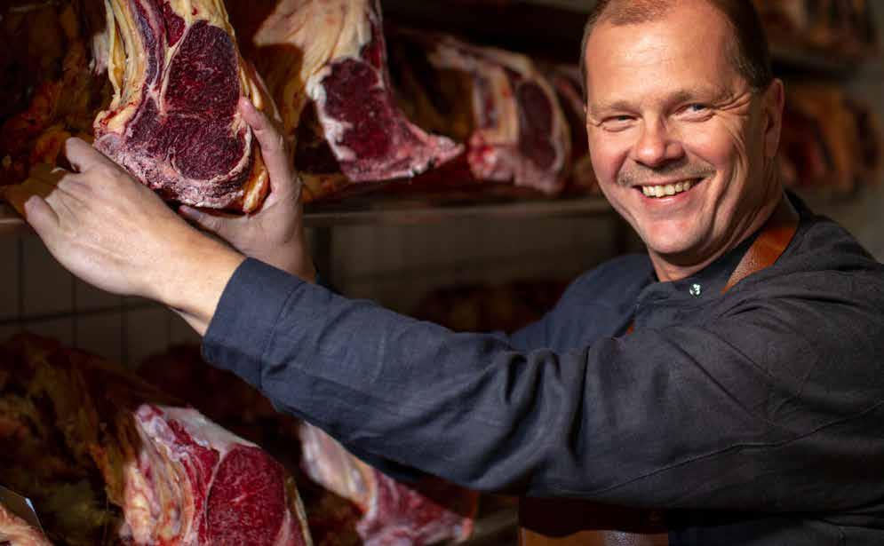 Allt du någonsin velat veta om