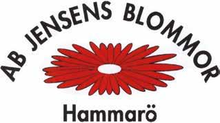 Jensens  Stor ca