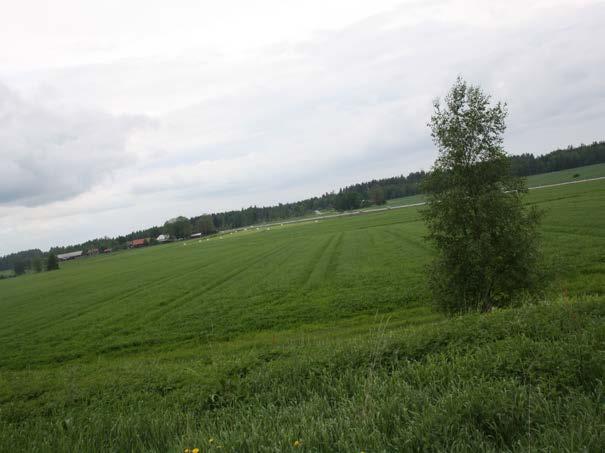 pedometri Teknisk