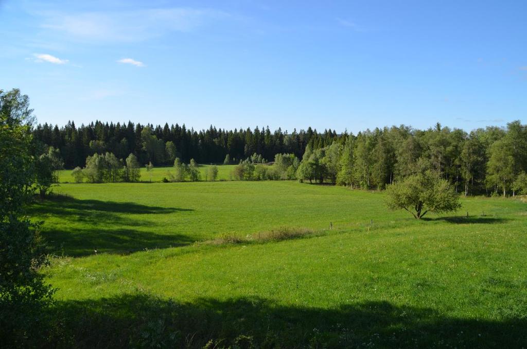 Drygt 5000 personer har nu anmält sitt deltagande i O-Ringen 2015. Endast två O-Ringen har legat över dessa siffror vid första anmälningsstoppet, nämligen Sälen och Skåne.