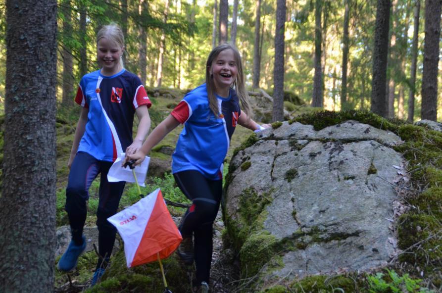 Pengarna till projektet är ett bidrag från allmänna