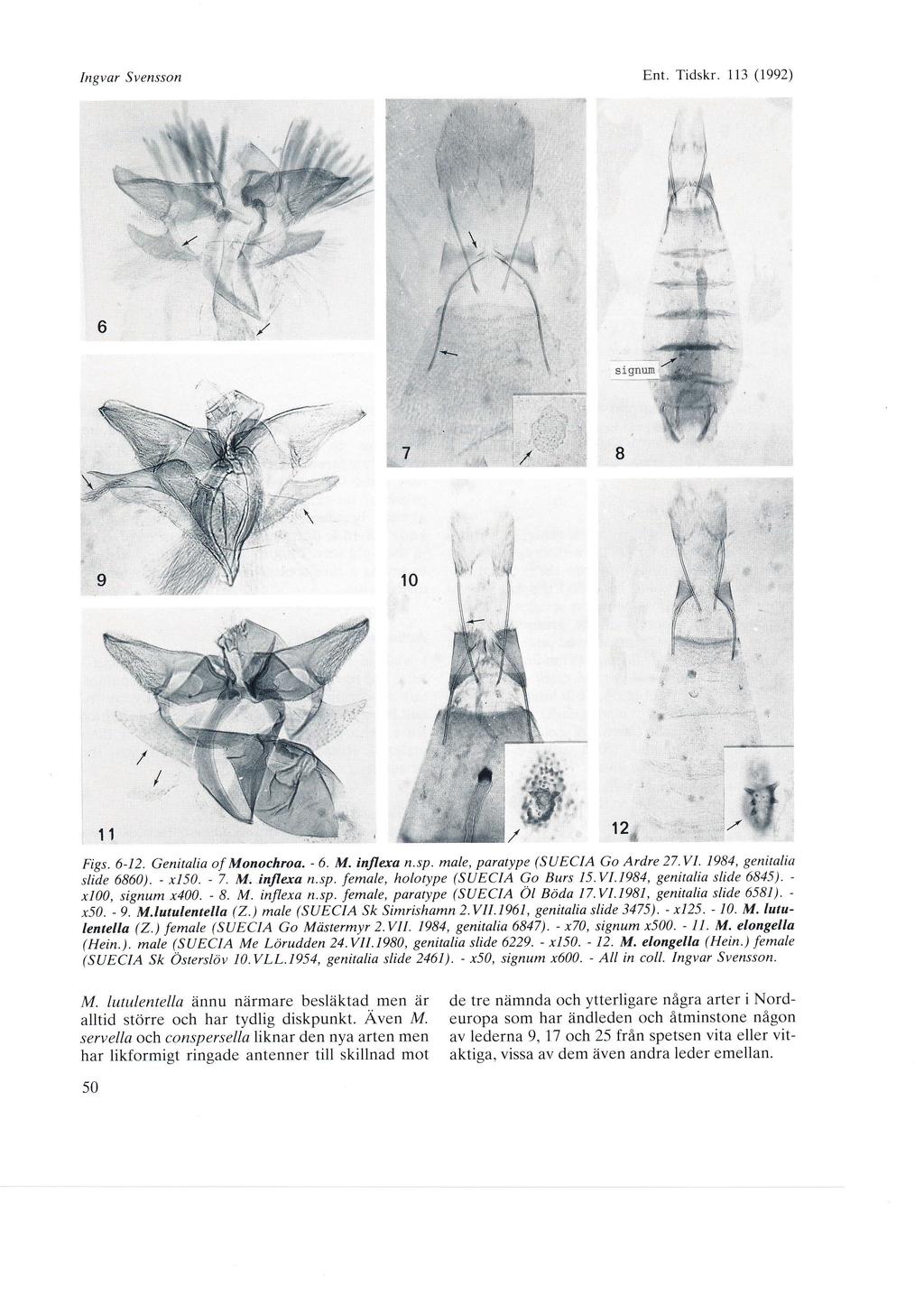Ingvar Svensson Ent. Tidskr. 113 (1992) 6 5r gnm & Figs. 6-12. Genitalia of Monochroa. - 6. M, inflexa n.sp. male, paratype (SU ECIA Go Ardre 27.VL 1984, genitalia slide 6860). - x150. - 7. M. inflexa n.sp. female, holotype (SUECIA Go Burs l5.