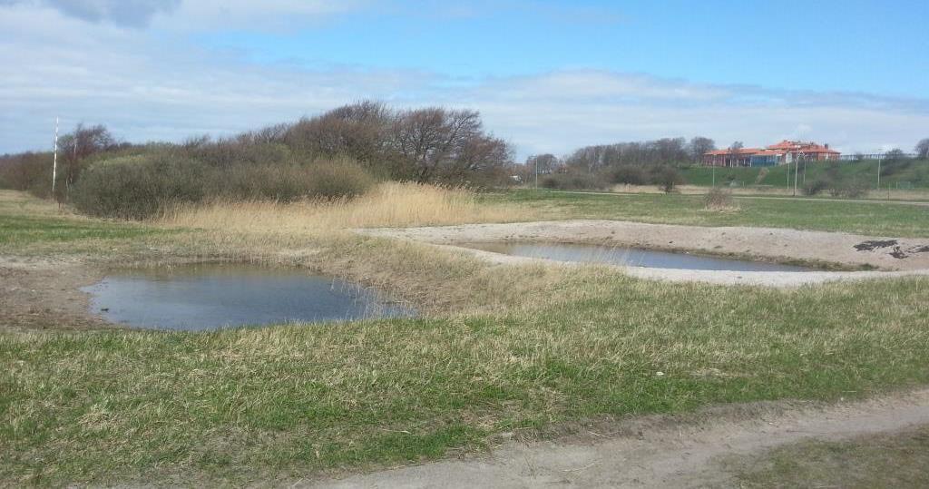 Lokalbeskrivning Det kommunala naturreservatet Örby ängar är beläget vid Öresundskusten söder om Helsingborg.