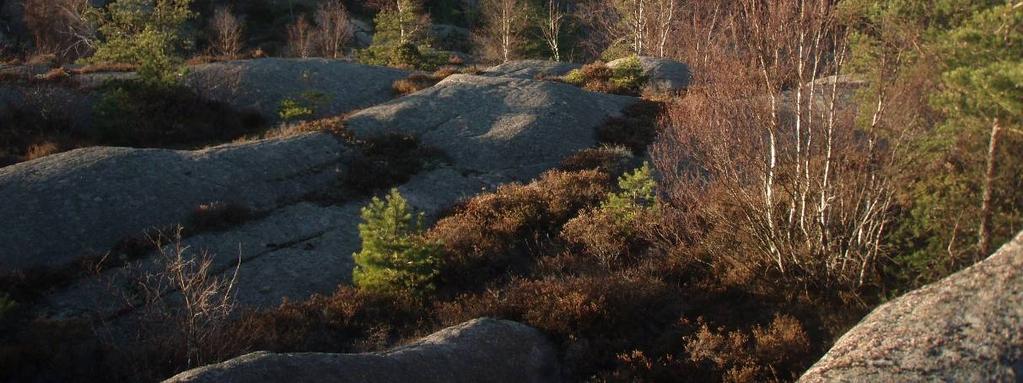Natura 2000-naturtyp: - Beskrivning: Objektet utgörs av ett hällmarksområde vilket fortsätter utanför det inventerade området. En vegetation av ljung, tall, björk och blåtåtel dominerar området.