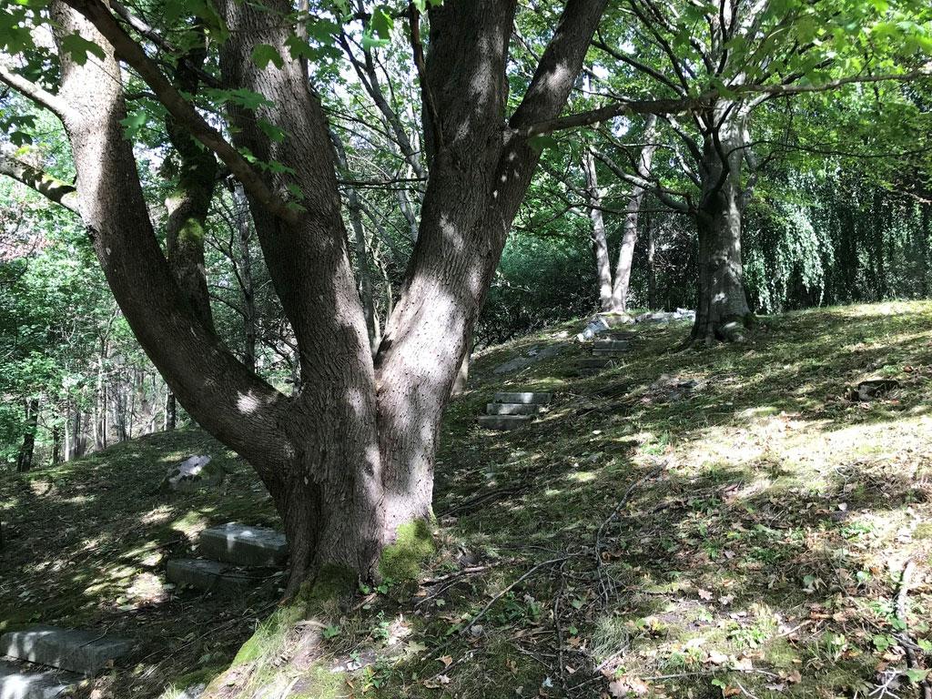 Objekt ID: Ncab-1743-3 Naturvärdesbedömning: Påtagligt naturvärde naturvärdesklass 3 Dominerande naturtyp: Park och trädgård Biotoper: Lövträd i parklik miljö Beskrivning: En trädmiljö vilken omger