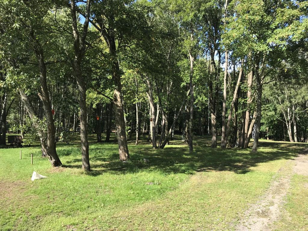 Objekt ID: Ncab-1743-5 Naturvärdesbedömning: Visst naturvärde naturvärdesklass 4 Dominerande naturtyp: Skog och träd Biotoper: Park och trädgård Beskrivning: Ett ungt lövbestånd i anslutning till
