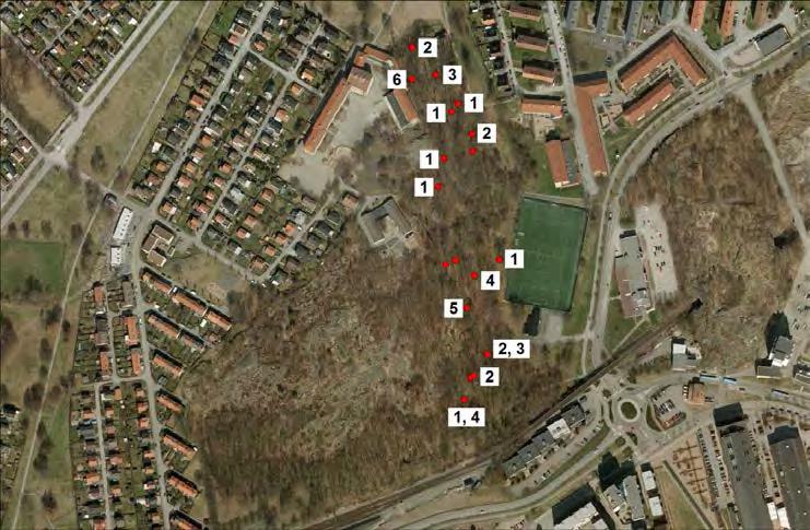 Krokängsparken Värde: B Området utgörs av en parkmiljö där ek, Quercus robur, dominerar.