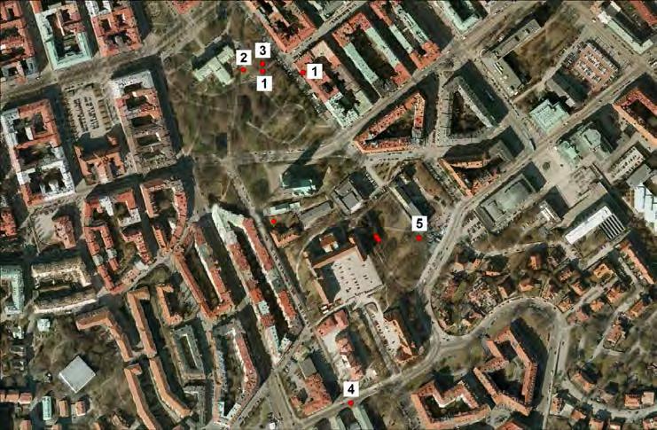 Vasaparken Värde: C Vasaparken utgörs av en parkmiljö dominerad av ädla lövträd. Lindar, Tilia spp., almar, Ulmus spp., bok, Fagus sylvatica, lönnar, Acer spp.