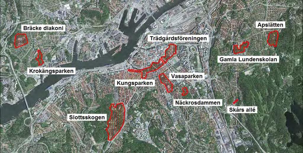 Avgränsningen av de inventerade områdena följer inte alltid parkernas gränser. Lokalen Trädgårdsföreningen innefattar t.ex.