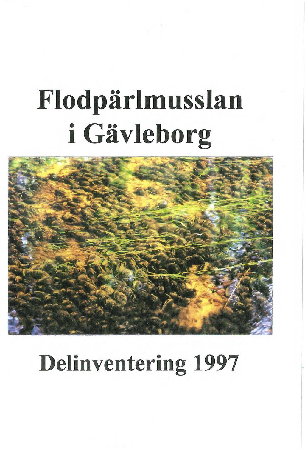 Fdpärmussan i