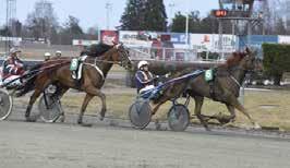Dottern efter Even Better Odds började karriären med fem raka segrar. Segertid nya rekordet,4a/640 och 5.000 kronor till PS Horse AB (Petri Salmela) i Boden med Petri som tränare.